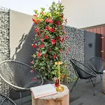 Boutique Beim Lipp - Restaurant & 酒店 Roßhaupten